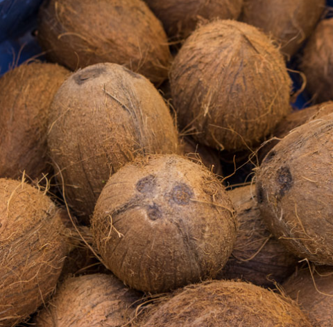 Semi Husked Coconut